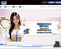 NEWS 카지노