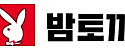 밤토끼 접속불가