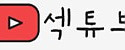 섹튜브 접속불가