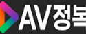 AV정복
