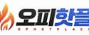 오피핫플 접속불가
