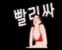 빨리싸 접속불가