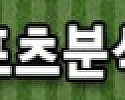 스포츠 분석픽