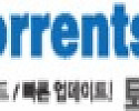 토렌트씨