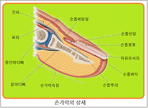 42Seoul] 42서울 라피신 후기. (본과정 불합격) 1편