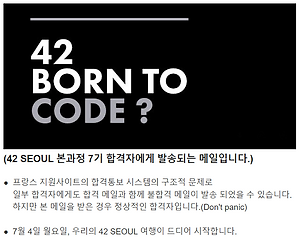42서울] 7기 2차 라피신 후기