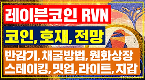 리플 Xrp 호재 분석 전망 : Sec소송종결? 국제송금!?