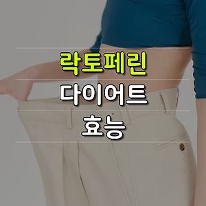 내장지방만 골라 빼주는 락토페린 다이어트 효능, 부작용, 복용법