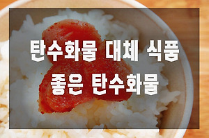 탄수화물 대체식품 3