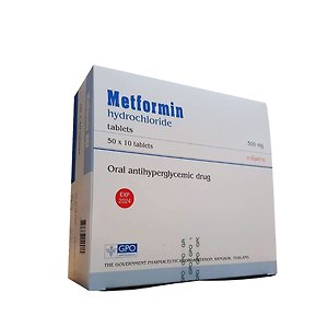 매트포르민 인터넷 최저가 태국구매대행 Metformin 500Mg X 500정