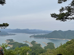 반려견(강아지)동반카페] 광주 대형브런치카페 추천 제주감성 금호동 매월동 헤이블루 애견동반카페