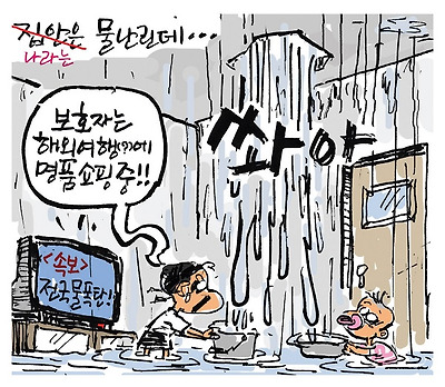 나라는 물난린데…