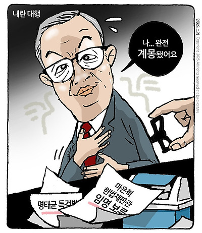 내란 대행