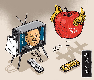 귀한 사과