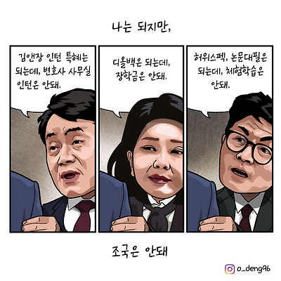 우리는 되지만, 조국은 안돼