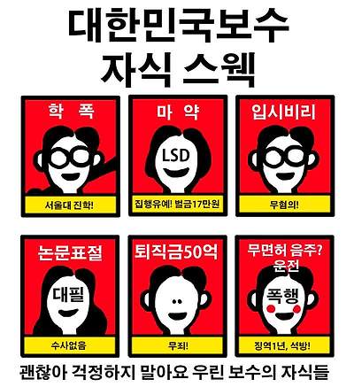 대한민국 보수 자녀 스웩