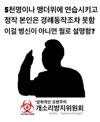 국군의날 미스테리