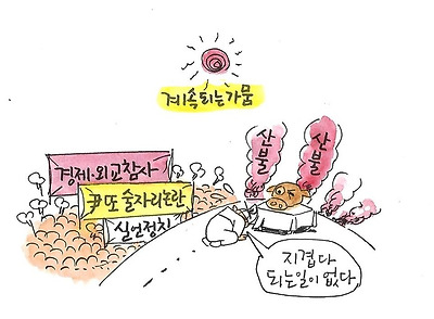 되는 일이 없다.