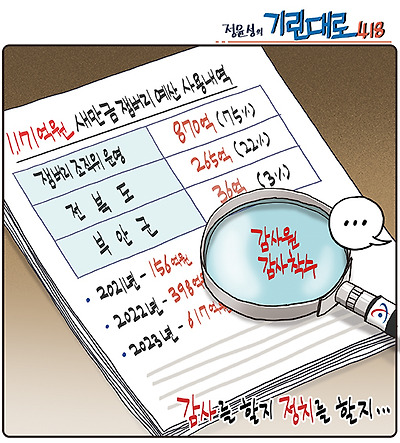 감사를 할까 정치를 할까