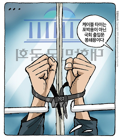 헌재 우롱 케이블타이