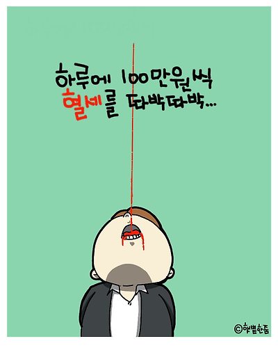 혈세를 따박따박