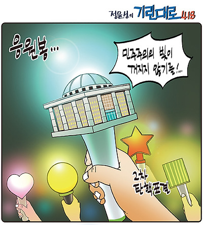 민주주의 응원봉