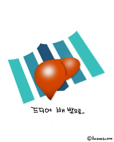 간이 배 밖으로