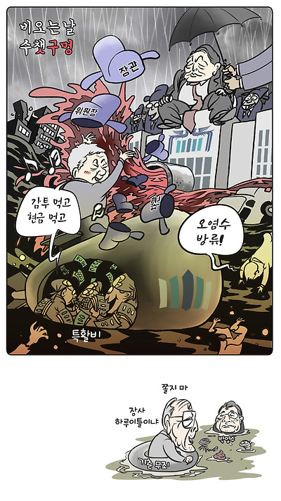 감투 대량 방류