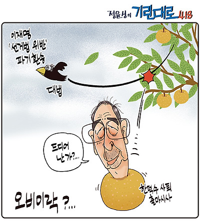 오비이락
