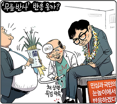 국민 눈높이