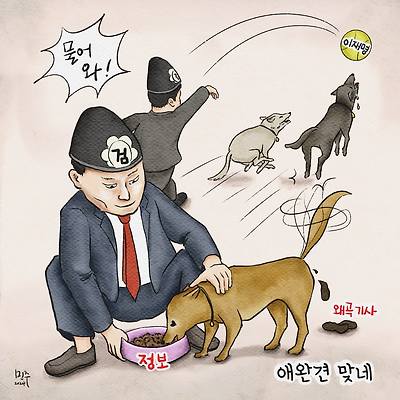 애완견 맞네