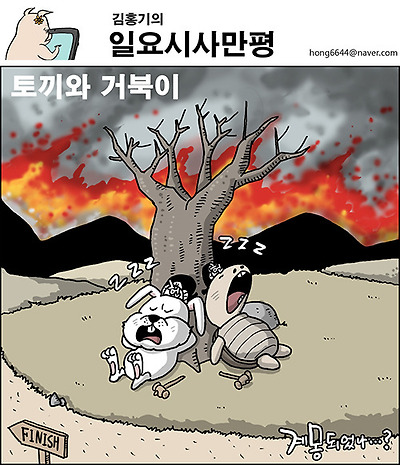 토끼와 거북이