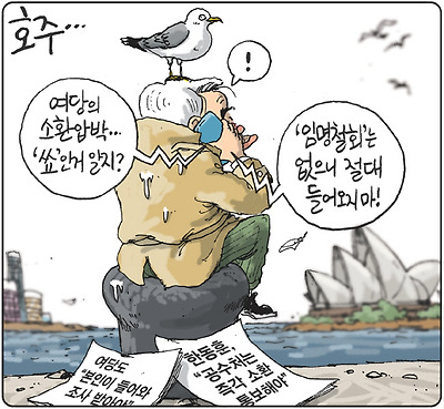 호주 현지 상황