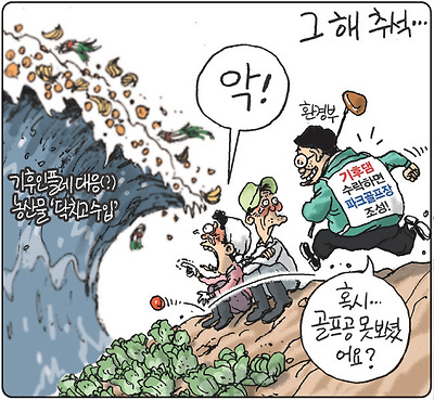 기후 대응