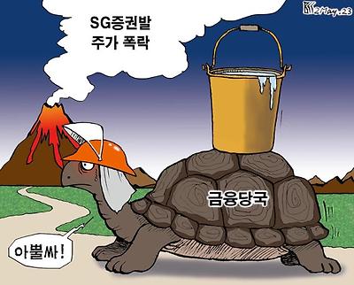 금융당국의 속도...