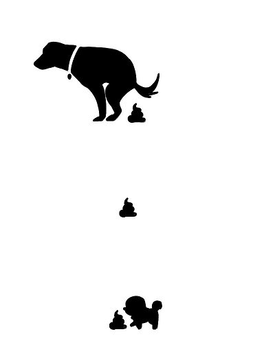 공생