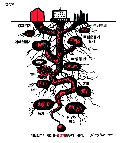 한 뿌리