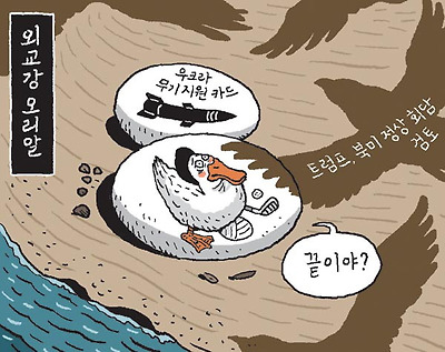외교강 오리알