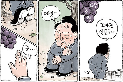 G7 신포도