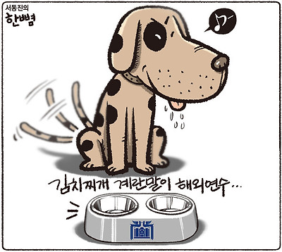 왈~왈~