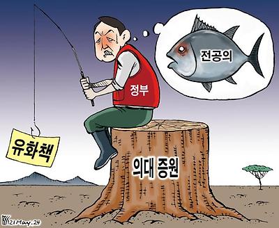 연목구어