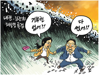 거부권 소진