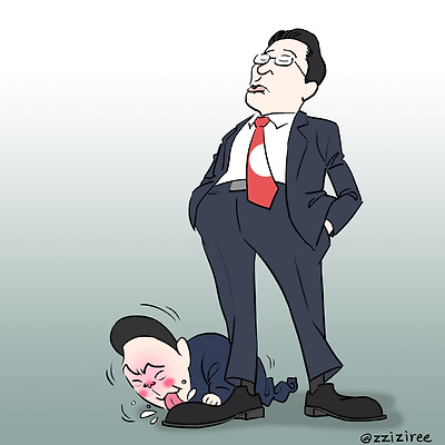 시다견