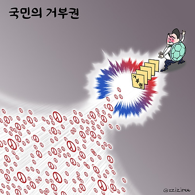 국민의 거부권
