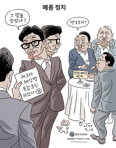 메롱 정치