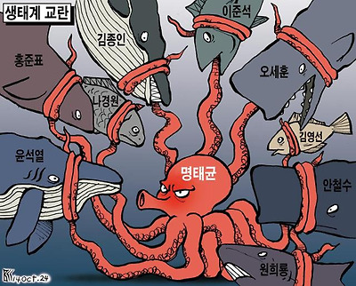 생태계 교란