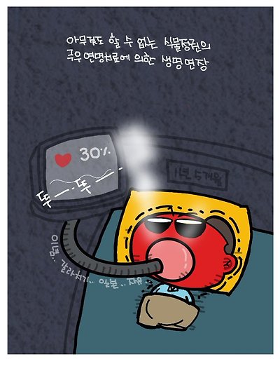 극우 연명치료