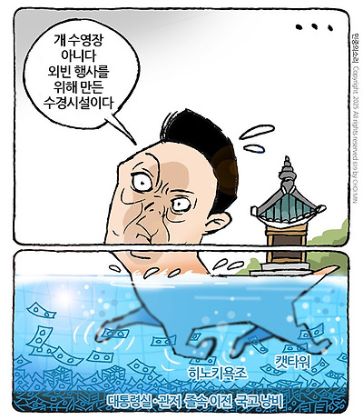 진짜 개 수영장?