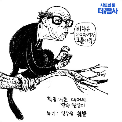 서초동 깐족 원숭이