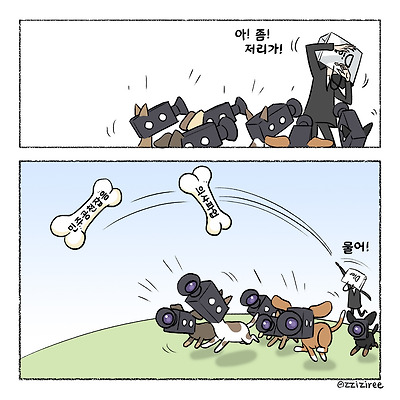 개밥 주는 디올백